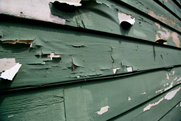 Best Dumpster Rental Services  in St Gabriel, LA