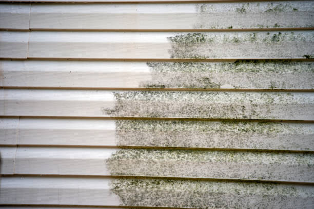 Best Attic Cleanout  in St Gabriel, LA